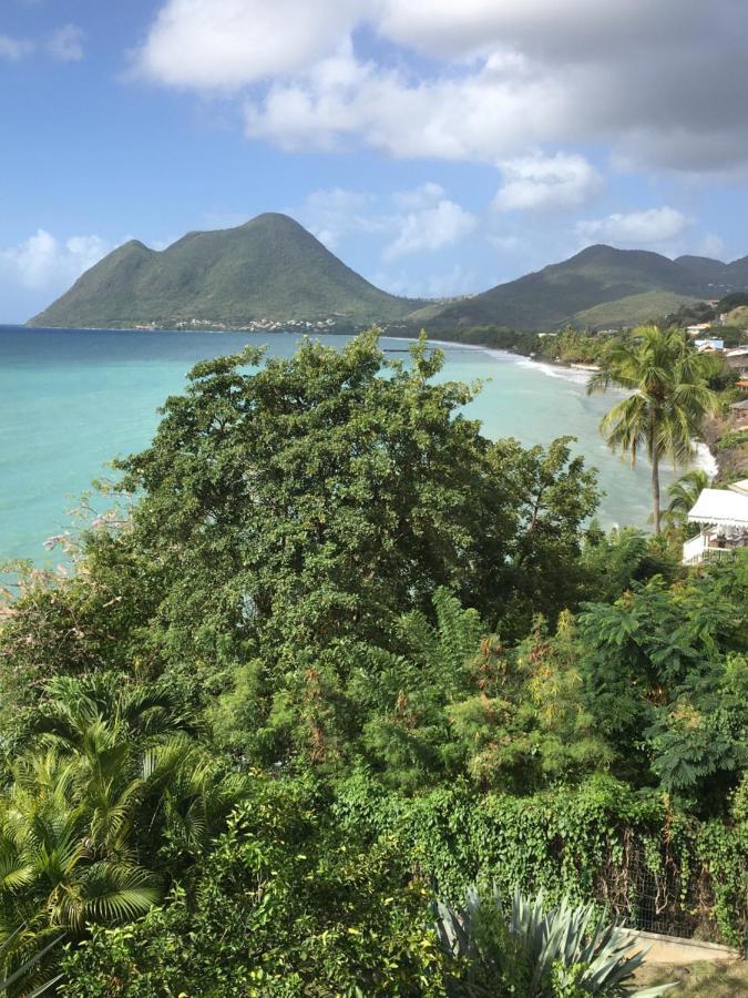 Appartement Les Pieds Dans L'Eau Dans Residence De Standing 勒迪亚芒 外观 照片